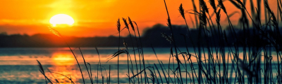 inner_banner2